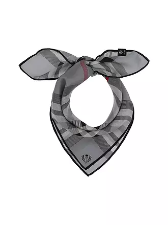 FRAAS | Foulard en soie | grau